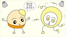 02mont-roll